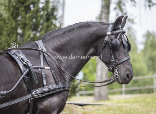 enkelspan borsttuig luxe ideal equestrian