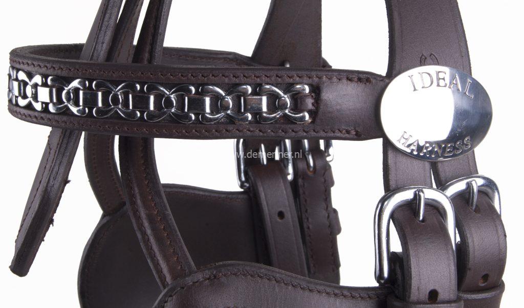 frontriem ideal equestrian