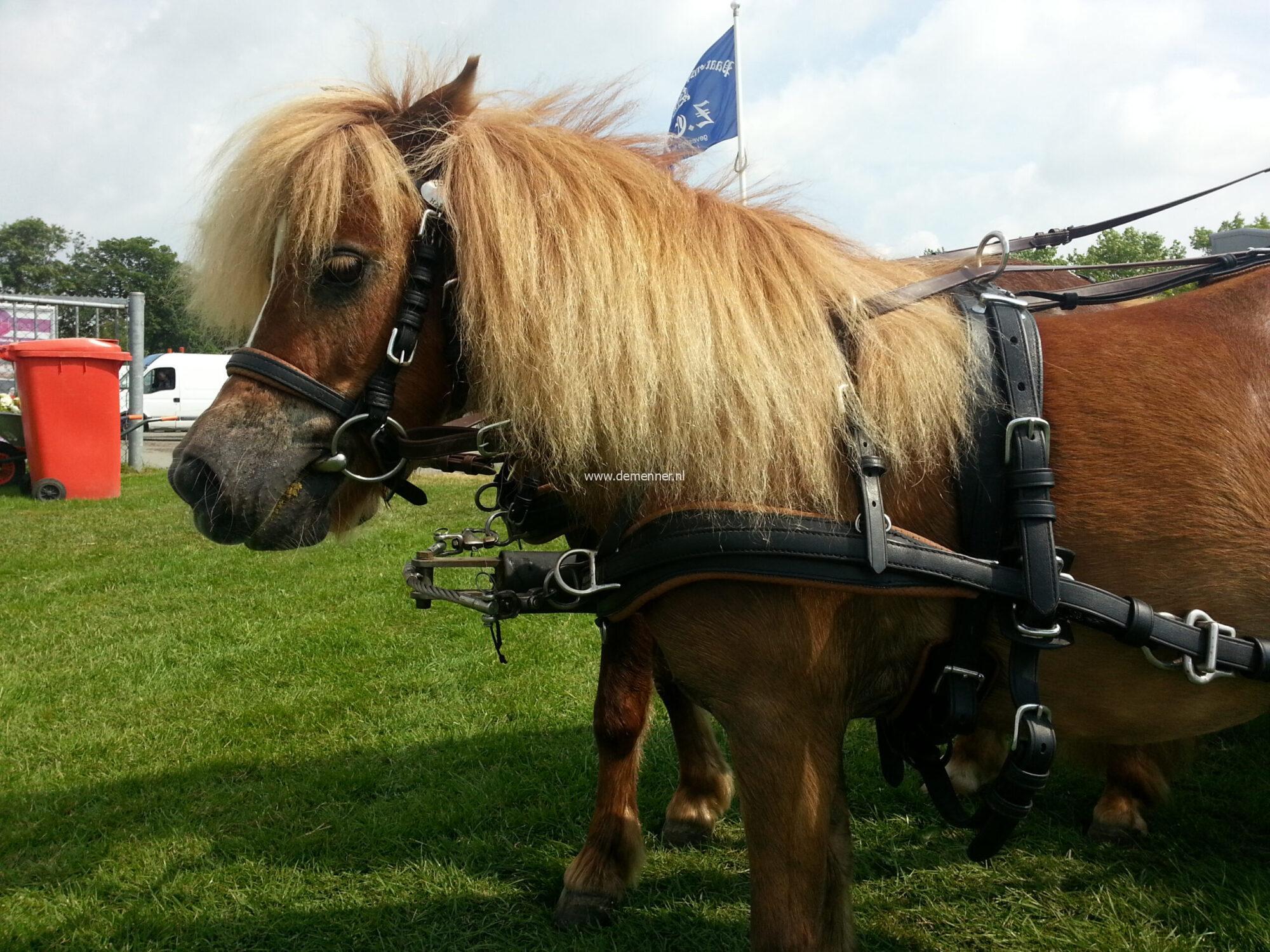 Freestyle single breast Eurotech - Image 3