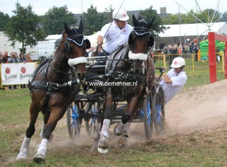 Pair harness ELITE Zilco - Image 3