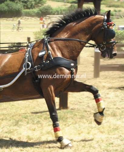 Empathy breastcollar set complete - Image 3