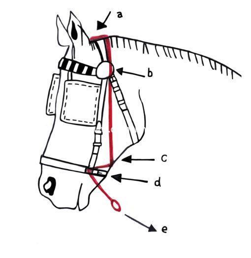 BItless Noseband - Image 3