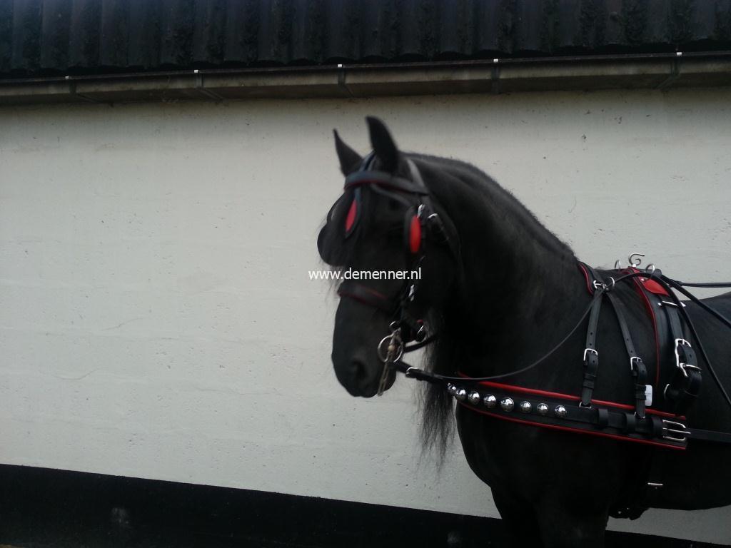 Bell harness, leather, red/black, single Full - Image 2