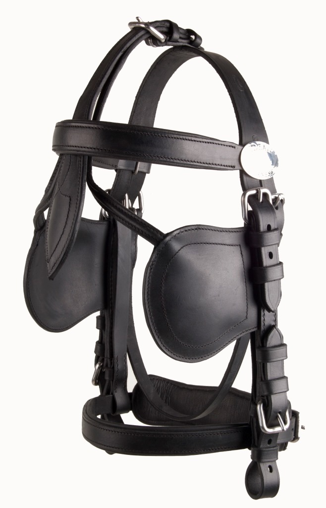 bridle leathertech