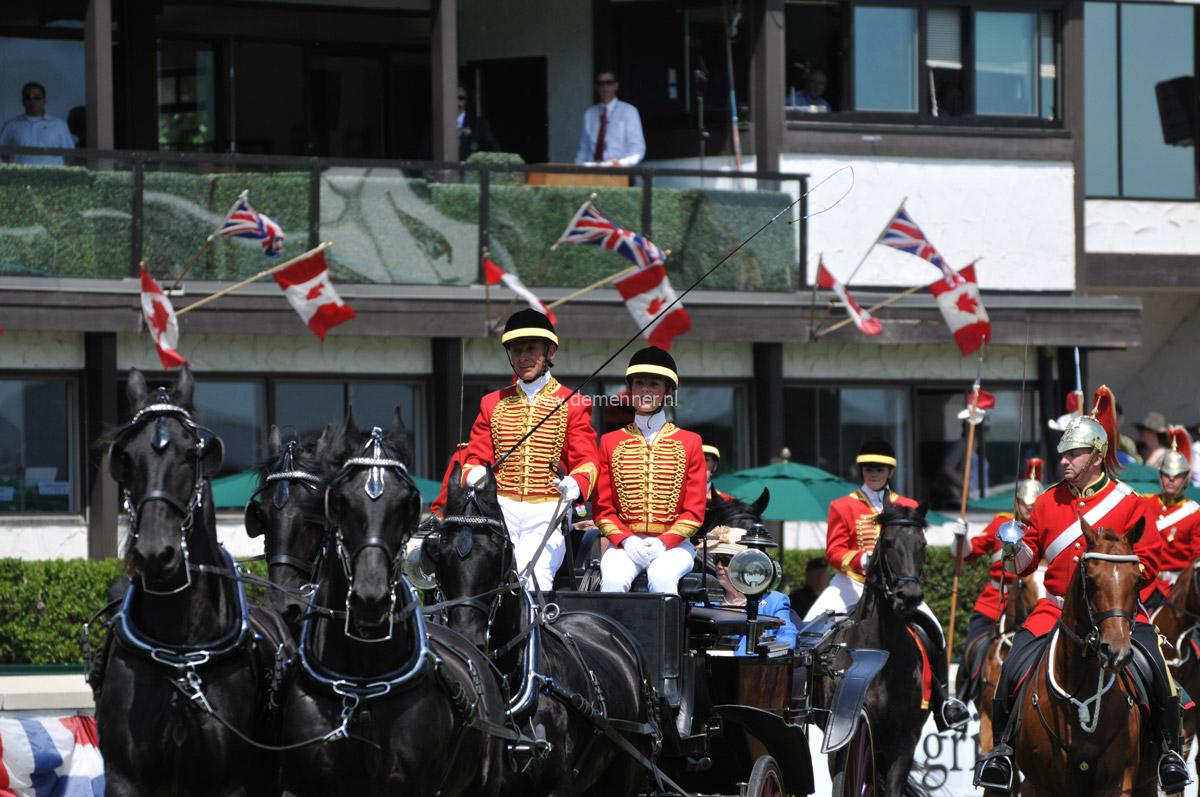 Full Collar Pairs (complete with pullers)-6886