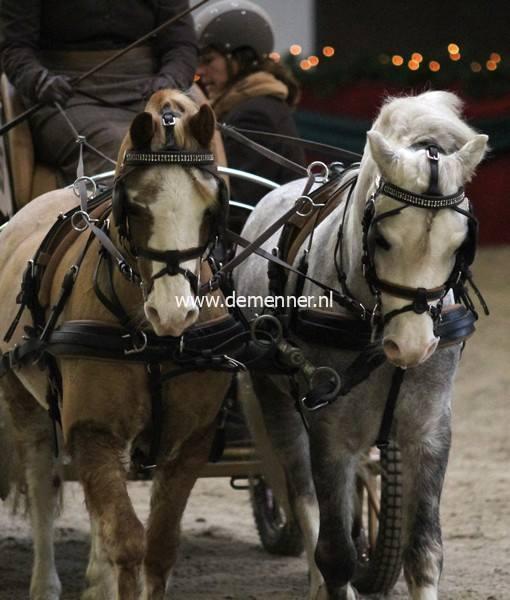 Pair harness EUROTECH COMBI Ideal Equestrian - Image 2