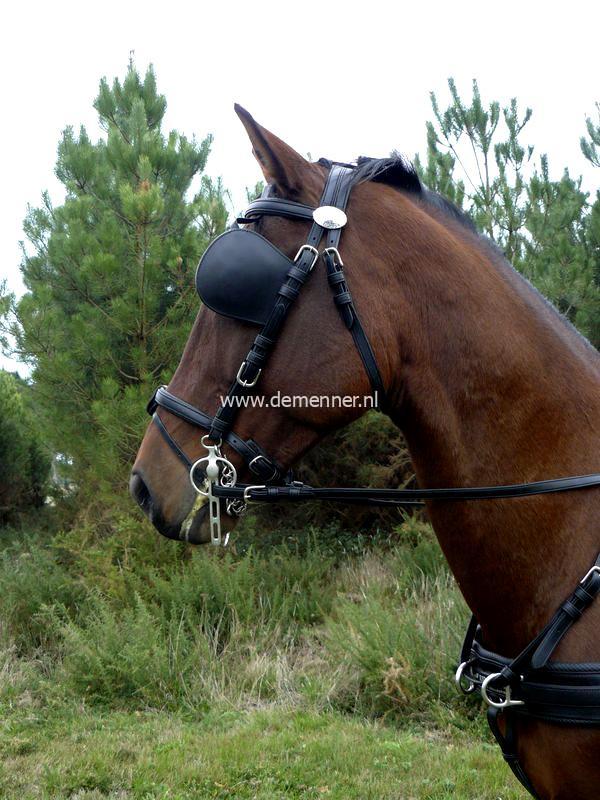 Groundview/marathon blinkers EUROTECH Ideal Equestrian - Image 3