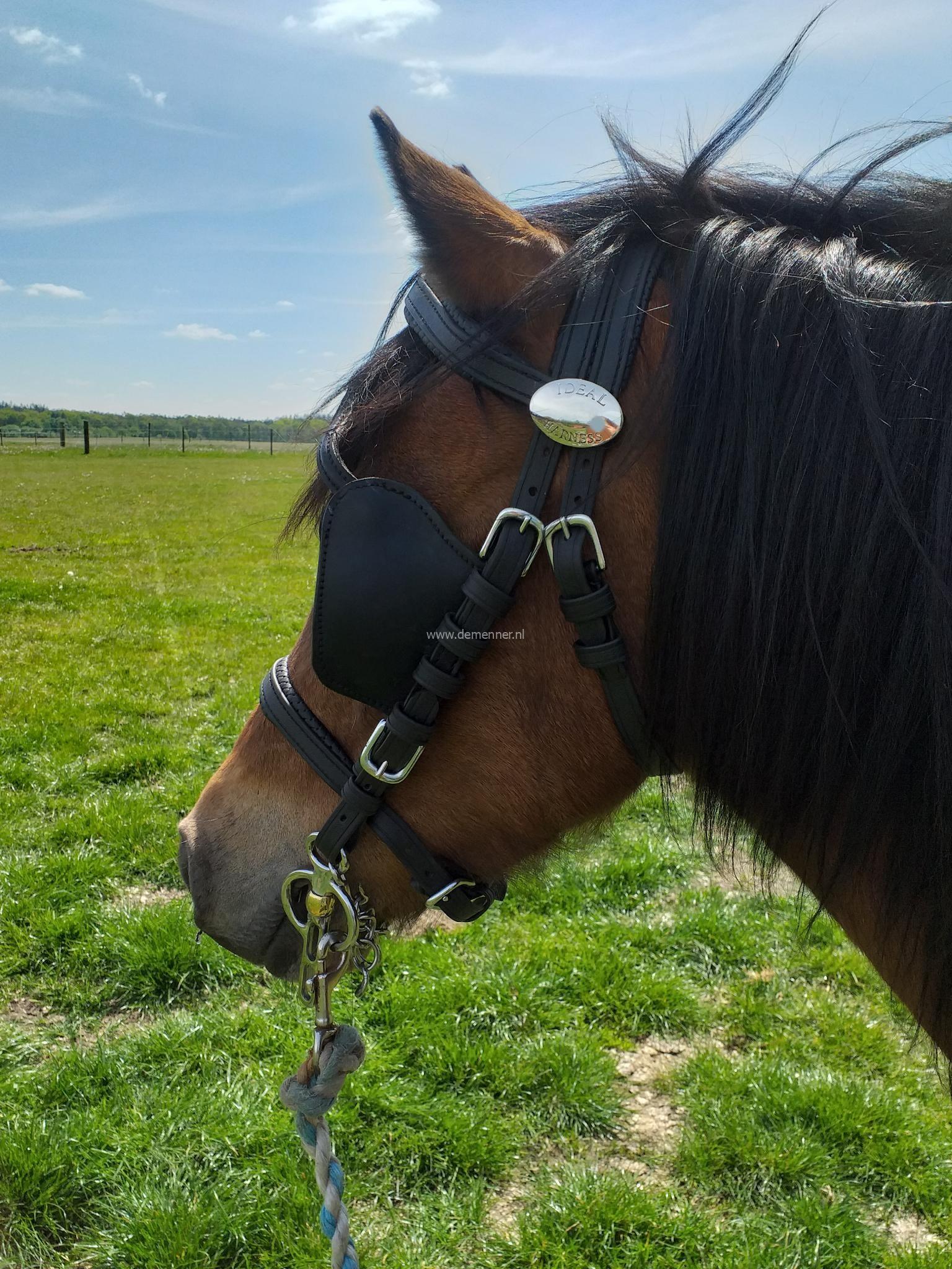 cheeks with blinkers eurotech