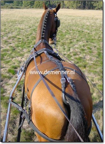 Crupper and Dock Draft Horse - Image 3