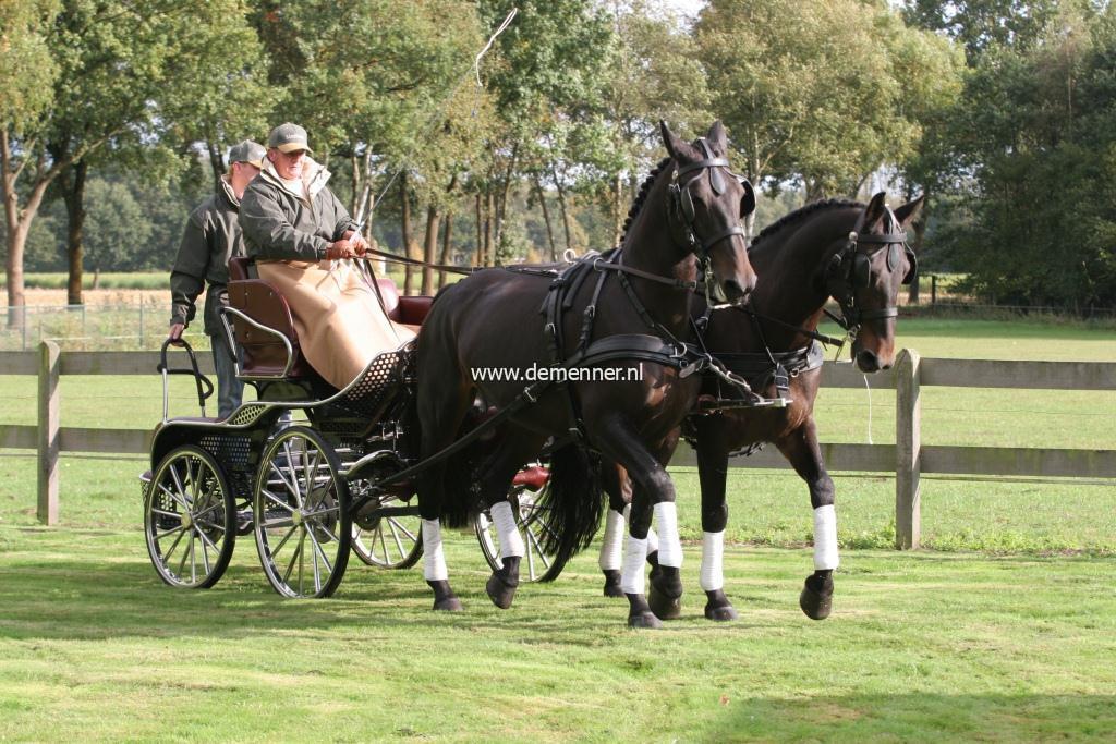 Pair harness LEATHERTECH COMBI Ideal Equestrian - Image 2