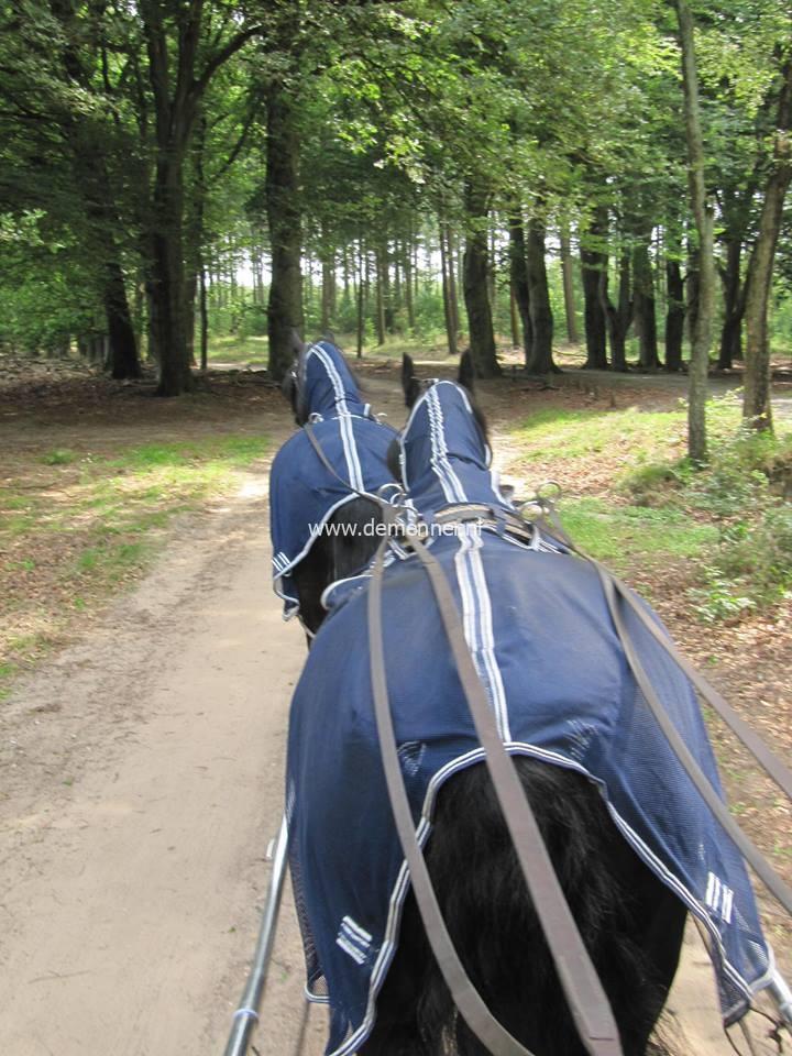 Driving Rug Anti-fly with neck - Image 4