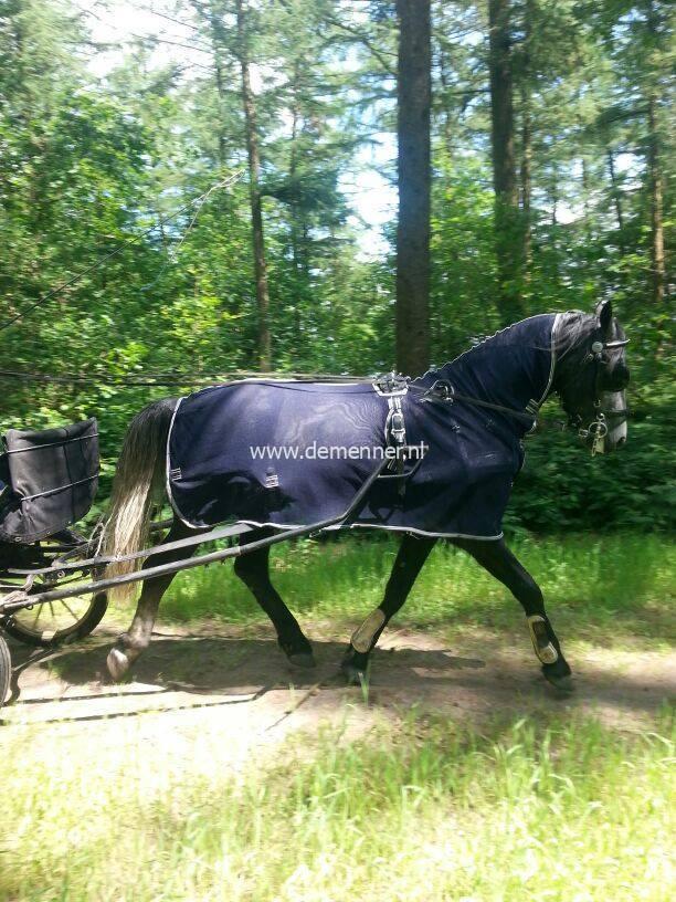 driving rug anti fly with neck