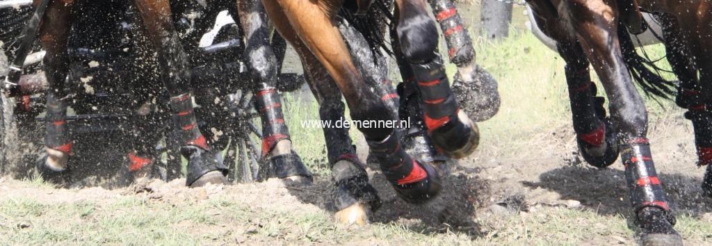 Mr Stockings Tendon Boots Hindleg - Image 2