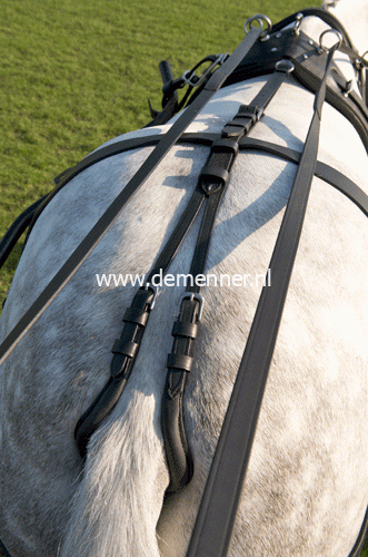 Crupper and Dock Leather - Image 3