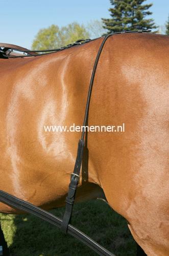 Trace carrier leather/elastic Ideal Equestrian - Image 3