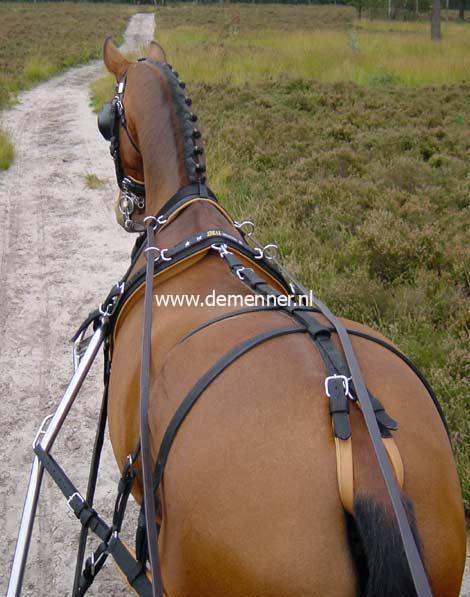 Pair harness WEBTECH COMBI Ideal Equestrian - Image 3
