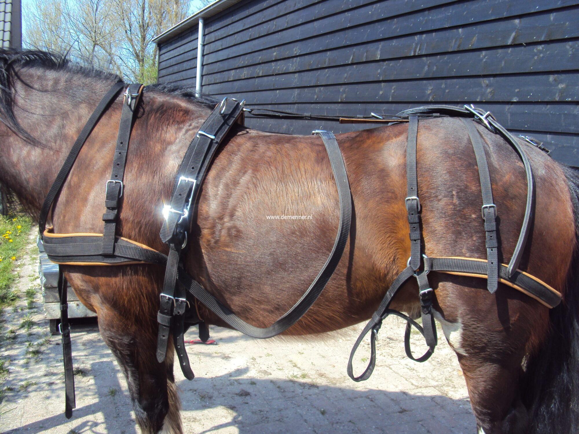 Single harness WEBTECH Combi Ideal Equestrian - Image 3