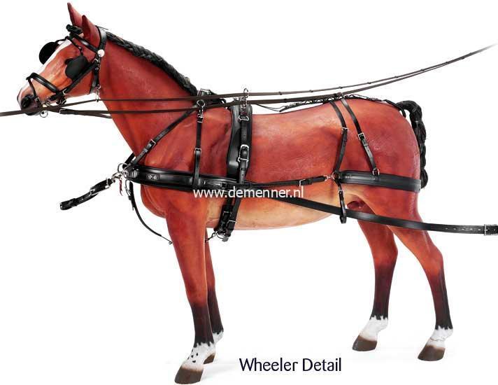 Team harness ZGB Zilco - Image 3